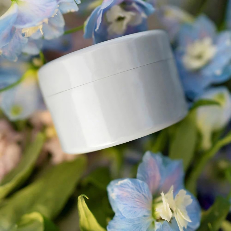 1+1 FREE TODAY | BloomBuddy™ | Flower Stem Holder