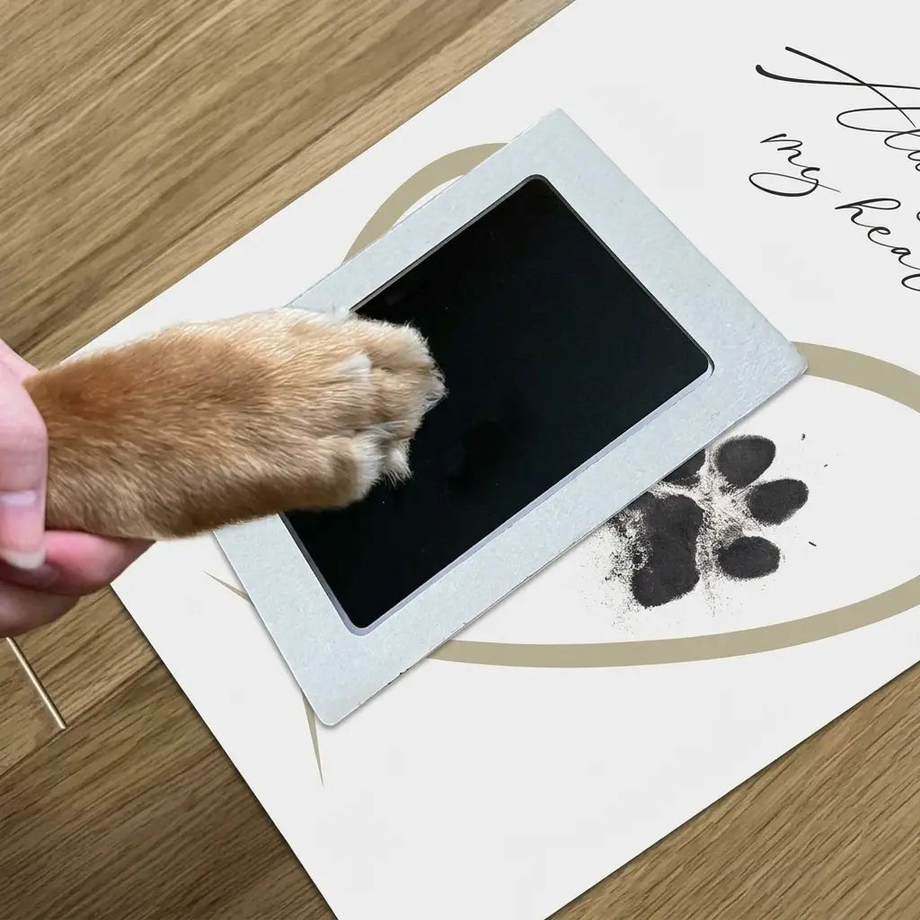 PawMemoirs⢠- Paw Print Keepsake | 50% OFF TODAY - Nestilia