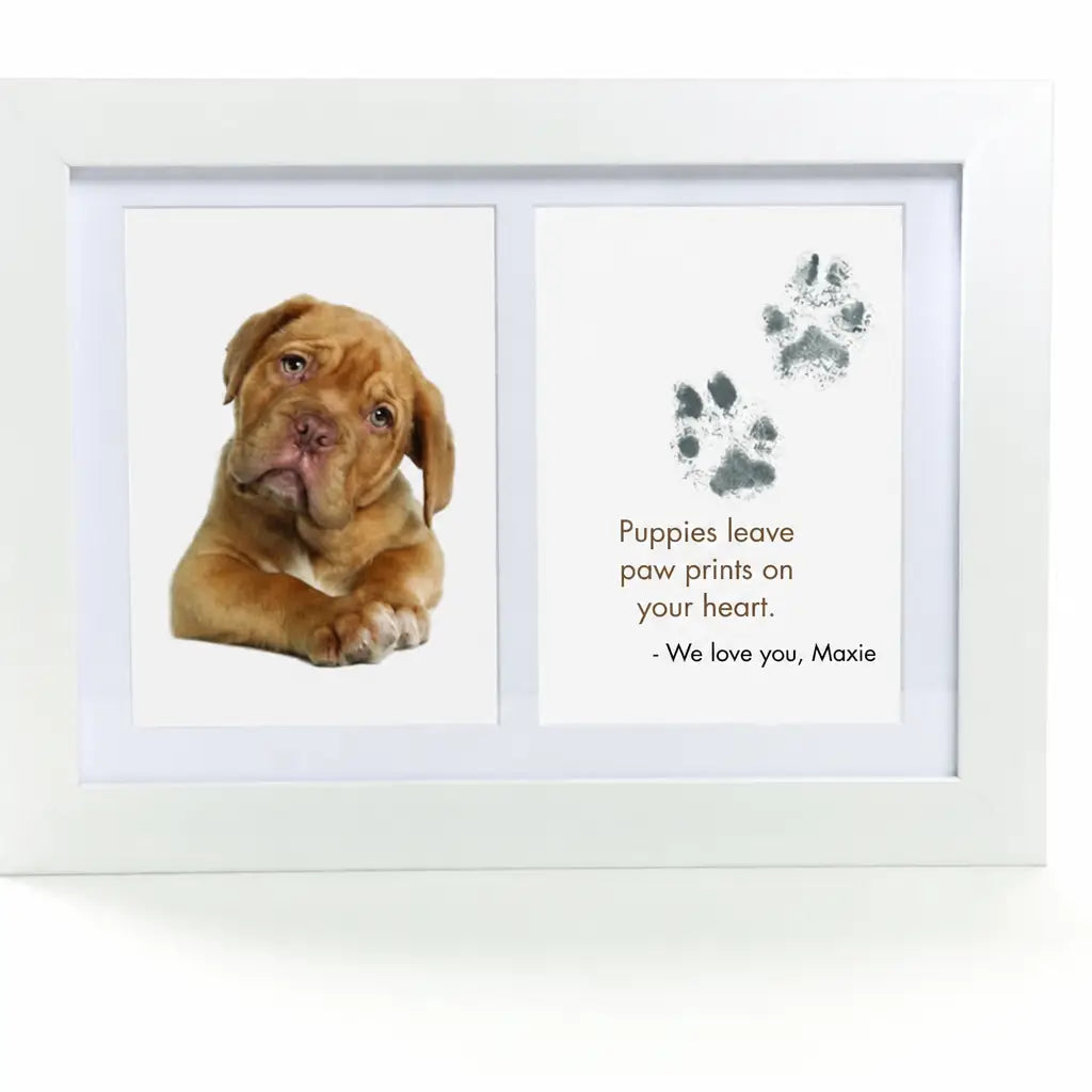 PawMemoirs⢠- Paw Print Keepsake | 50% OFF TODAY - Nestilia