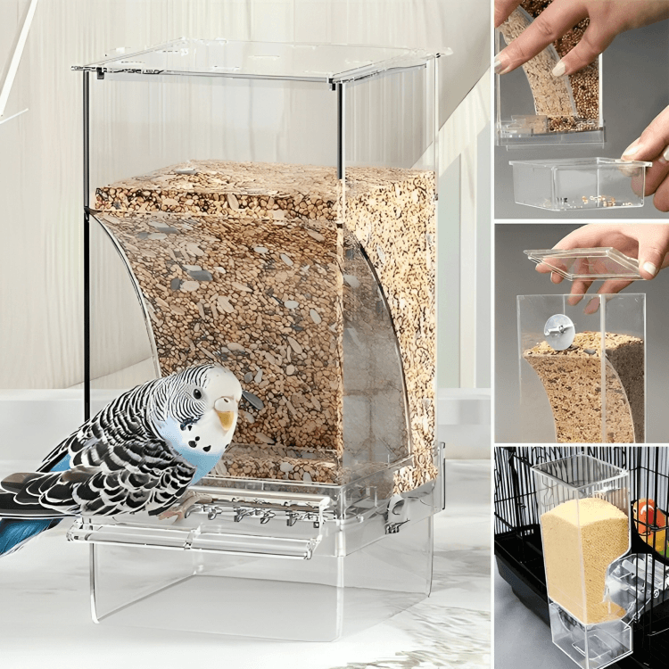 1 + 1 GRATUIT AUJOURD'HUI | TidyTreats™ | Distributeur automatique de nourriture pour oiseaux