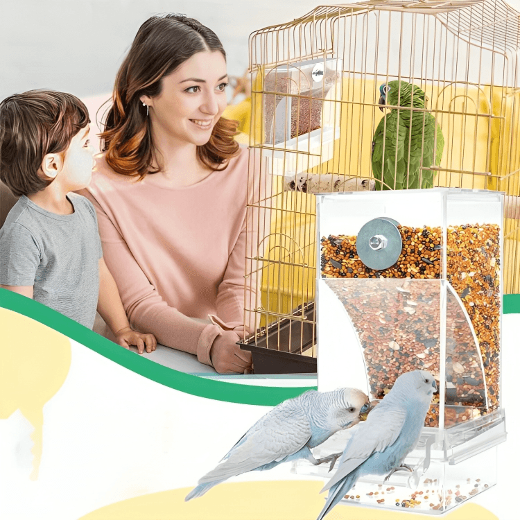 1 + 1 GRATUIT AUJOURD'HUI | TidyTreats™ | Distributeur automatique de nourriture pour oiseaux