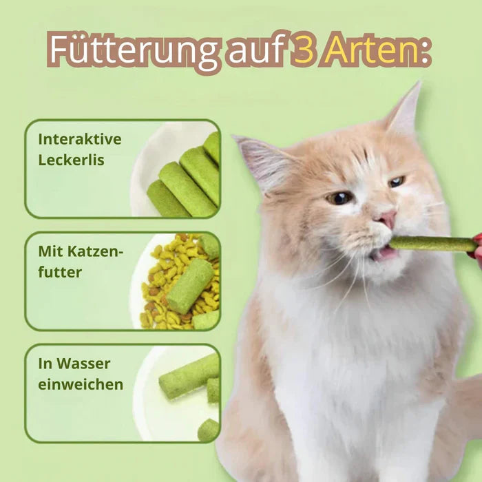 1+1 FREE TODAY | WhiskerWonder™ | Healthy Chew Treats for a Happy, Hairball-Free Cat!