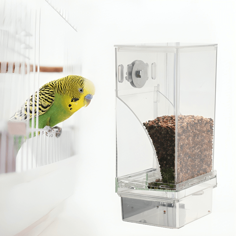 1 + 1 GRATUIT AUJOURD'HUI | TidyTreats™ | Distributeur automatique de nourriture pour oiseaux