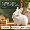 50% OFF TODAY | BunnyBot™ - A cuddly companion that comes to life!