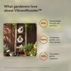 50% OFF TODAY | VibrantRooster™ - The most cheerful garden decoration ever!