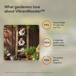 50% OFF TODAY | VibrantRooster™ - The most cheerful garden decoration ever!