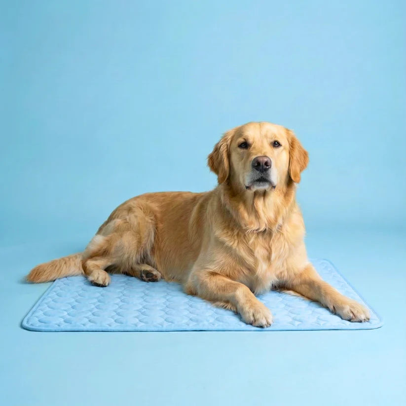 1 + 1 FREE TODAY | ArcticRest™ - Cooling Mat