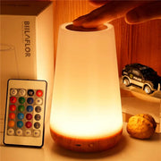 13 Color Changing Night Light  Dimmable Lamp