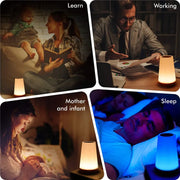 13 Color Changing Night Light  Dimmable Lamp