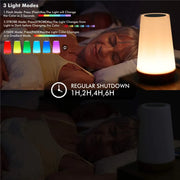 13 Color Changing Night Light  Dimmable Lamp