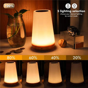 13 Color Changing Night Light  Dimmable Lamp