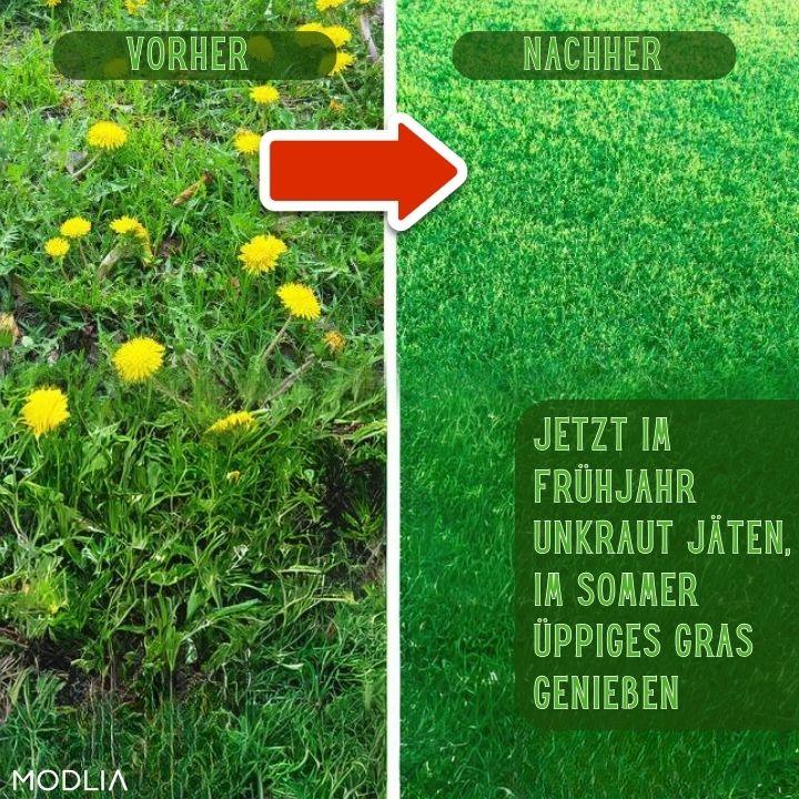 50% DE REMISE TEMPORAIRE | WeedBuster™ | Surmontez efficacement chaque défi de jardinage !
