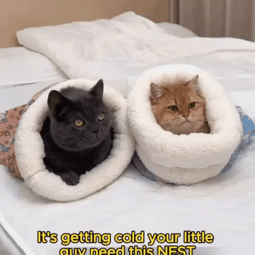 1 + 1 FREE TODAY  PurrSack™ - Cat Sleeping Bag
