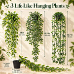 1+2 FREE TODAY | GreenDrape™ - Artificial Hanging Leaf Plants