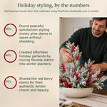 6+6 FREE TODAY | PineFrost™ - Christmas Pine-Cedar Stems