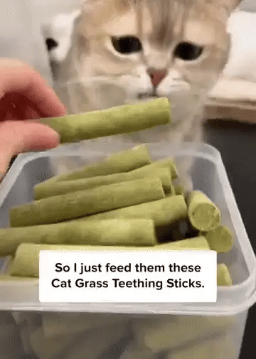1+1 FREE TODAY  WhiskerWonder™  Healthy chew toys for a happy, hairball-free cat!