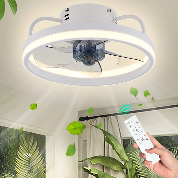 Smart Ceiling Fan With Lights