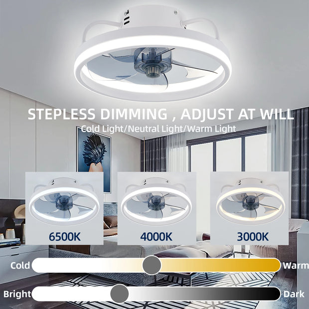 Smart Ceiling Fan With Lights