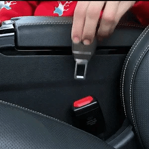 1+1 FREE TODAY  SeatSecure™ - Protect Your Loved Ones from Car Accidents!
