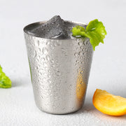 Travel Stainless Steel Cups