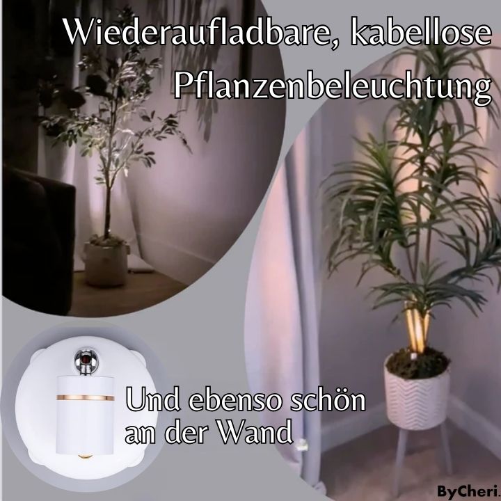 1 + 1 FREE | SpotPerfect™ | Turn Your Home into a Luxurious Retreat!