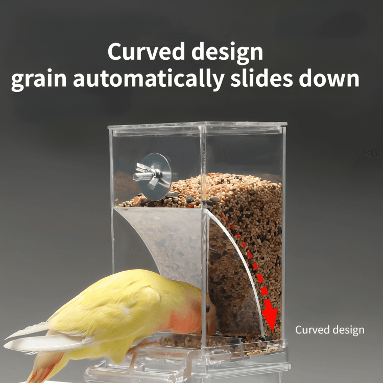 1 + 1 GRATUIT AUJOURD'HUI | TidyTreats™ | Distributeur automatique de nourriture pour oiseaux