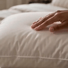 1+1 FREE TODAY | SuiteSleep™ -  Luxury Hotel Pillows