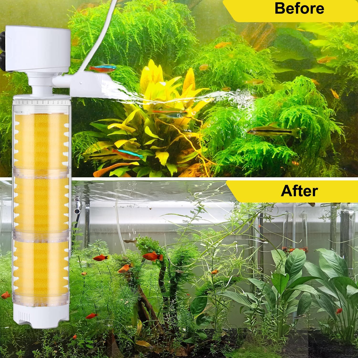 50% OFF TODAY | AquaPulse™