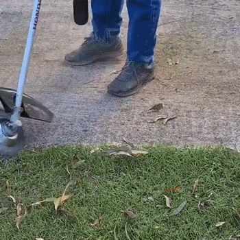 50% OFF TODAY  GrassGuard™ - Trim weeds & grass in no time!