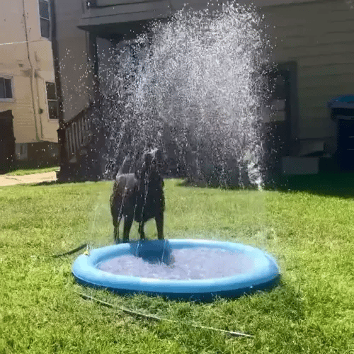 50% OFF TODAY  SplashPaws™ - Splash Pad