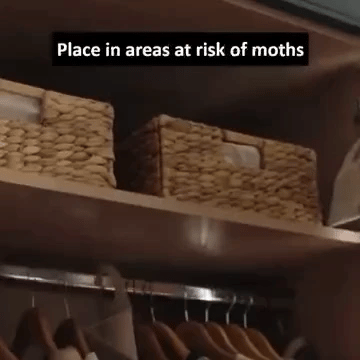 50% OFF TODAY  TrapLure™ - Moth Traps