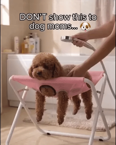 50% OFF TODAY  GroomStation™ - Pet Grooming Bed