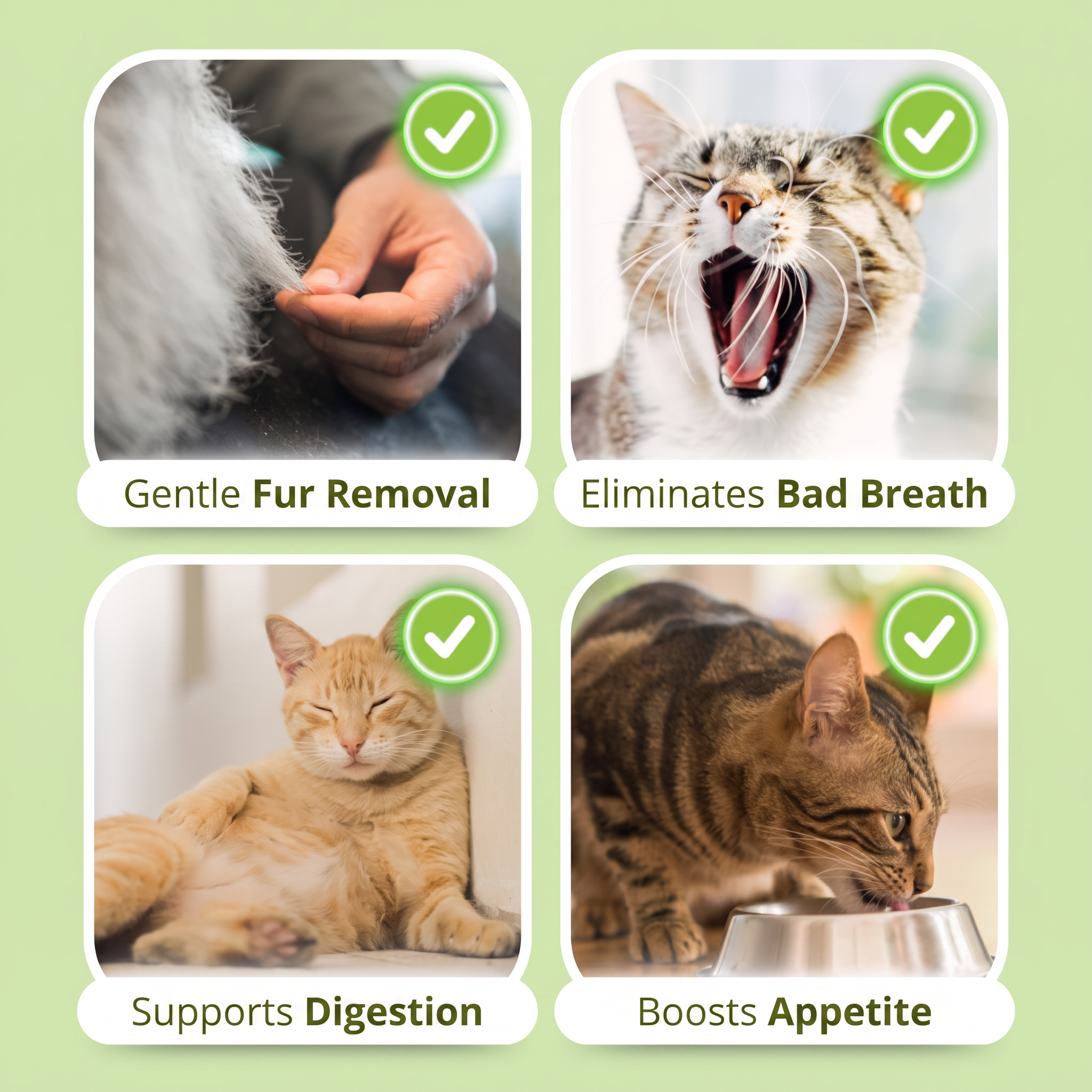 1+1 FREE TODAY | WhiskerWonder™ - Healthy chew toys for a happy, hairball-free cat!