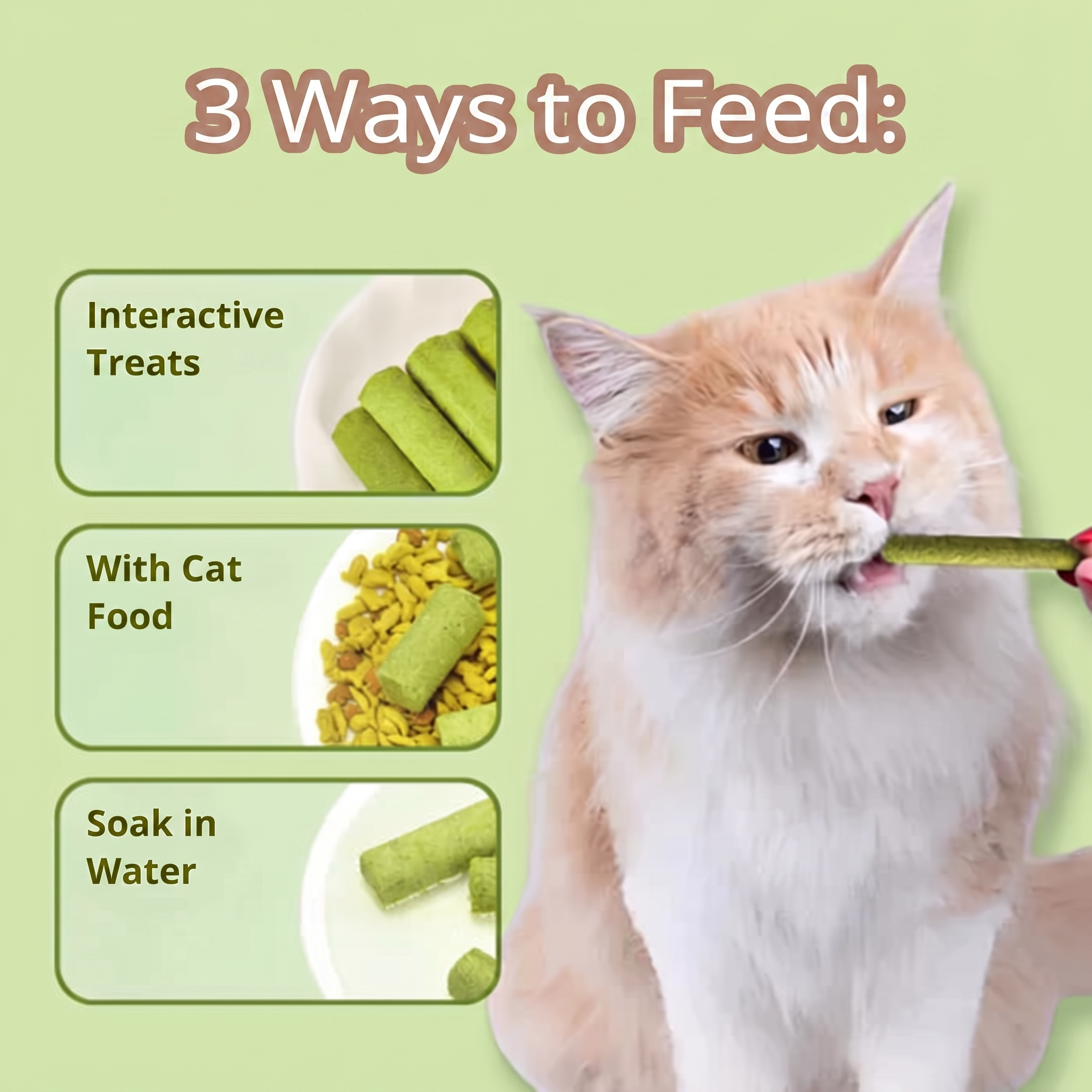 1+1 FREE TODAY | WhiskerWonder™ - Healthy chew toys for a happy, hairball-free cat!