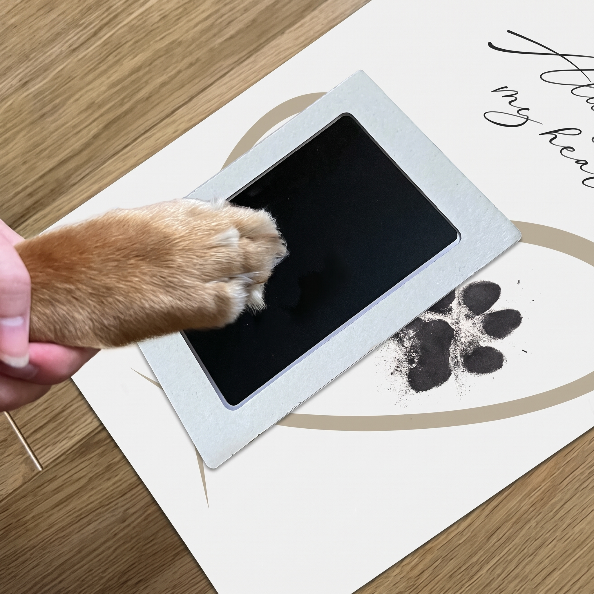 50% OFF TODAY | PawMemoirs™ - Keepsakes with Paw Prints