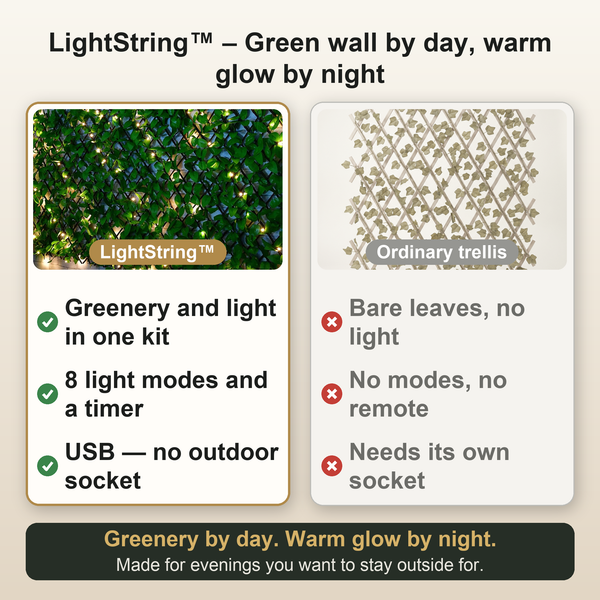 50% OFF TODAY  LightString™