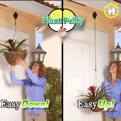 1 + 1 FREE TODAY  PlantPro™ - Save time and energy caring for your plants!