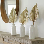 2PCS Palm Fan Leaf Dried Flowers