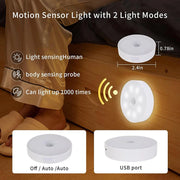 Convenient LED Motion Sensor Night Light