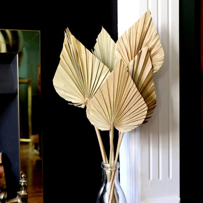 2PCS Palm Fan Leaf Dried Flowers