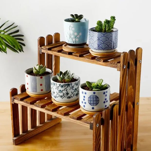 Japanese Style Succulent Bonsai Planter