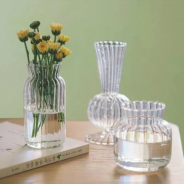 Glass Flower Vase for Home Decor