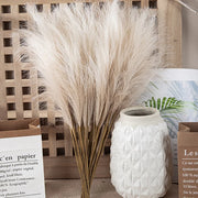 Fluffy Pampas Grass Boho Decor - Perfect for Weddings, Parties, and Home Decor!