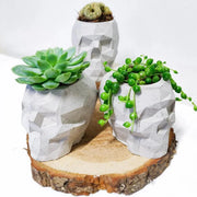 3D Skull Flowerpot Cement Mold