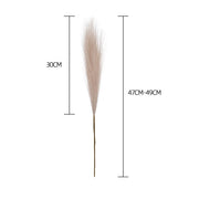 Fluffy Pampas Grass Boho Decor - Perfect for Weddings, Parties, and Home Decor!