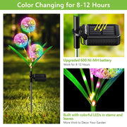 Solar Dandelion Flower Light