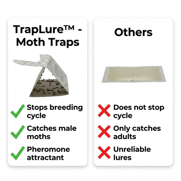 50% OFF TODAY  TrapLure™ - Moth Traps