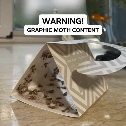 50% OFF TODAY  TrapLure™ - Moth Traps