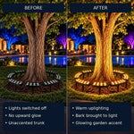 50% OFF TODAY | TrunkGlow™ - Round LED Tree Light