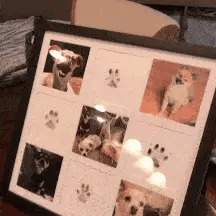 50% OFF TODAY  PawMemoirs™ - Keepsakes with Paw Prints